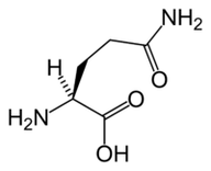 生酮饮食中的 L-谷氨酰胺